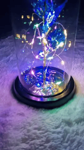 Rosa Eterna LED